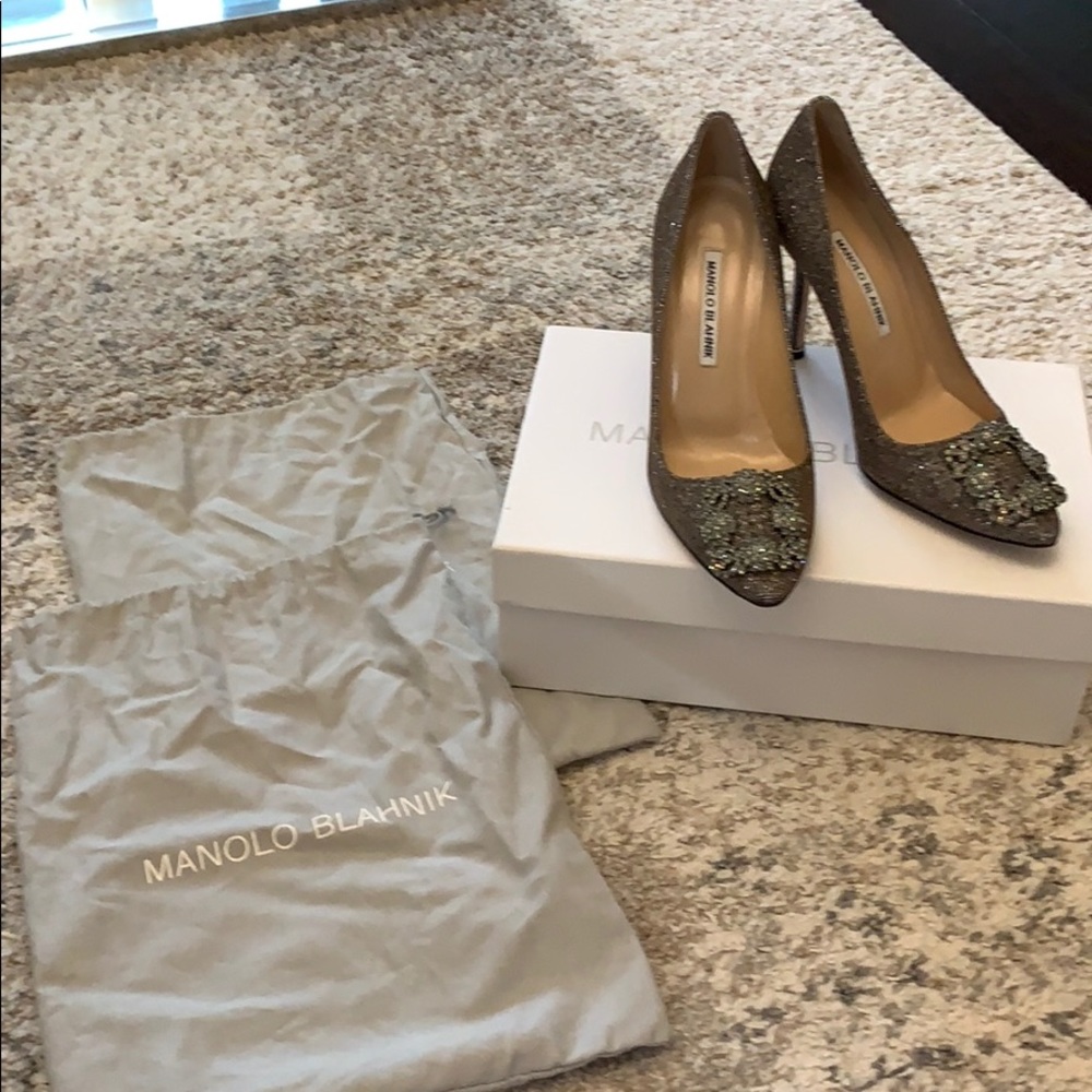 Manolo Blahnik Hangisi 105 Embellished Pumps